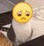 emoji_7.gif